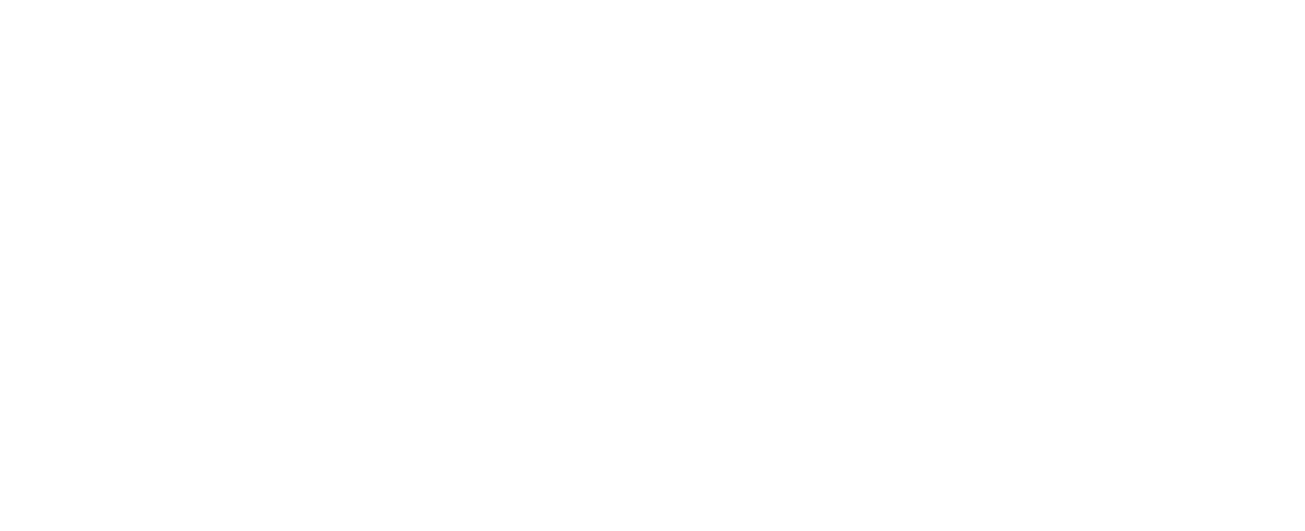vivascore-logo-white